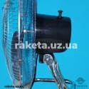 Вентилятор підлоговий Rotex RAF81-SS 55W, 3 швидкості, D=46 см, лопасть - нержавіюча сталь